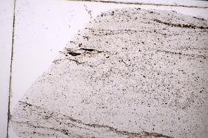 Plane Polarized, E45431