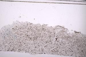 Plane Polarized, E45432