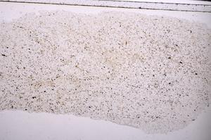 Plane Polarized, E45434