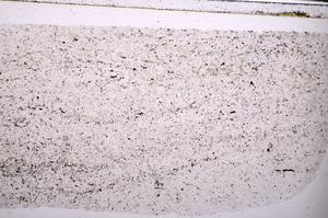 Plane Polarized, E45436