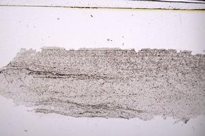 Plane Polarized, E45455
