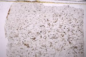 Plane Polarized, E45462
