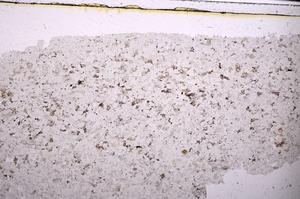 Plane Polarized, E45463