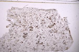 Plane Polarized, E45468