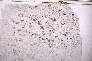 Plane Polarized, E45469