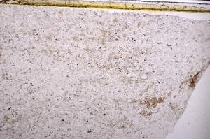 Plane Polarized, E45473