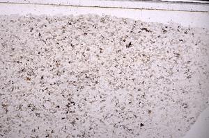 Plane Polarized, E45474