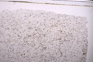 Plane Polarized, E45476