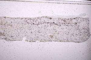Plane Polarized, E45478