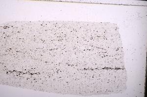 Plane Polarized, E45480