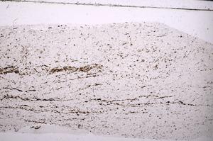 Plane Polarized, E45481