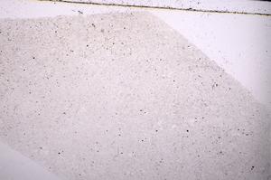 Plane Polarized, E45482