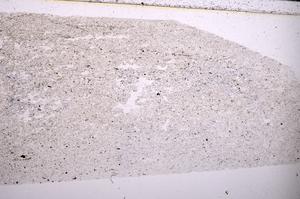 Plane Polarized, E45483