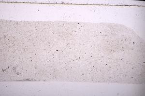 Plane Polarized, E45485
