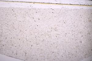 Plane Polarized, E45486