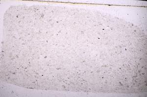 Plane Polarized, E45488