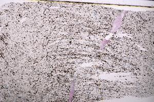 Plane Polarized, E45535