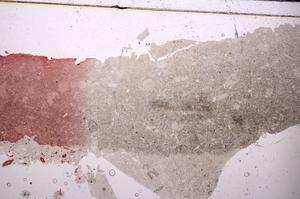Plane Polarized, E45573