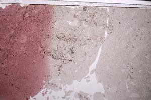 Plane Polarized, E45575