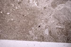 Plane Polarized, E45583