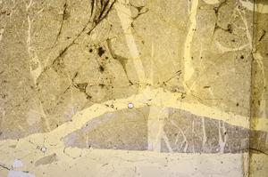 Plane Polarized, E45589
