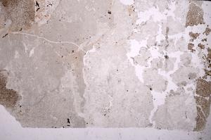 Plane Polarized, E45590
