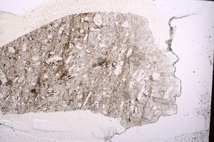Plane Polarized, E45598/B