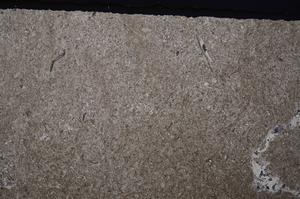 Cross Polarized, E45610