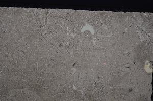 Cross Polarized, E45612