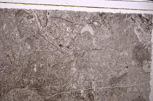 Plane Polarized, E45612