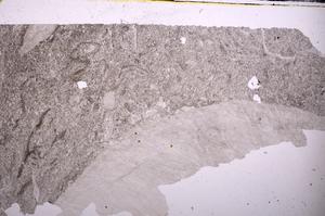 Plane Polarized, E45613