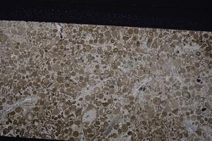 Cross Polarized, E45622