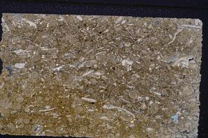 Cross Polarized, E45625