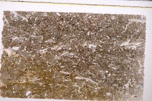 Plane Polarized, E45625