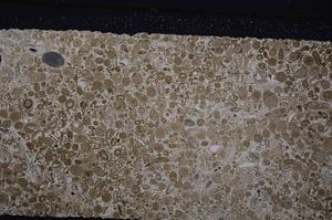 Cross Polarized, E45626