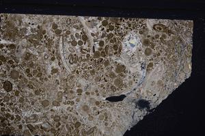 Cross Polarized, E45628