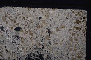 Cross Polarized, E45630