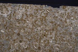 Cross Polarized, E45634