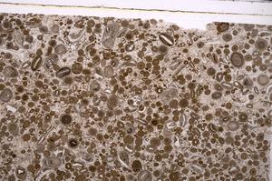 Plane Polarized, E45634