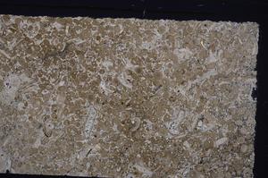 Cross Polarized, E45636