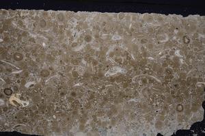 Cross Polarized, E45639