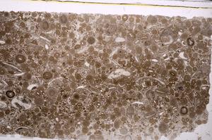 Plane Polarized, E45639