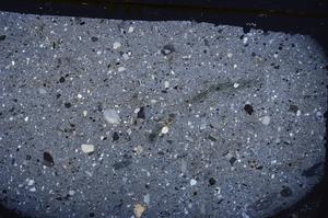 Cross Polarized, E45746