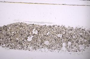 Plane Polarized, E45769B