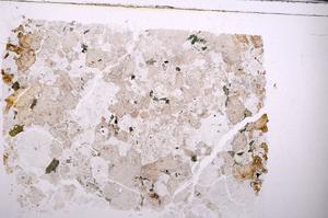 Plane Polarized, E45771B