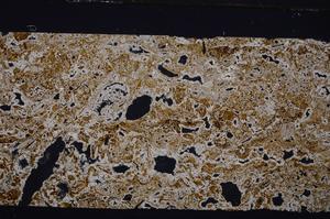 Cross Polarized, E45775A