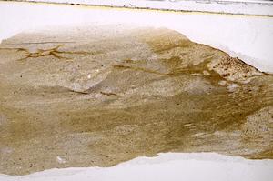 Plane Polarized, E45867