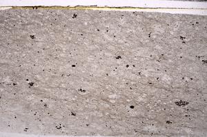 Plane Polarized, E45885