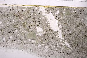 Plane Polarized, E45890