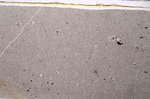 Plane Polarized, E45892